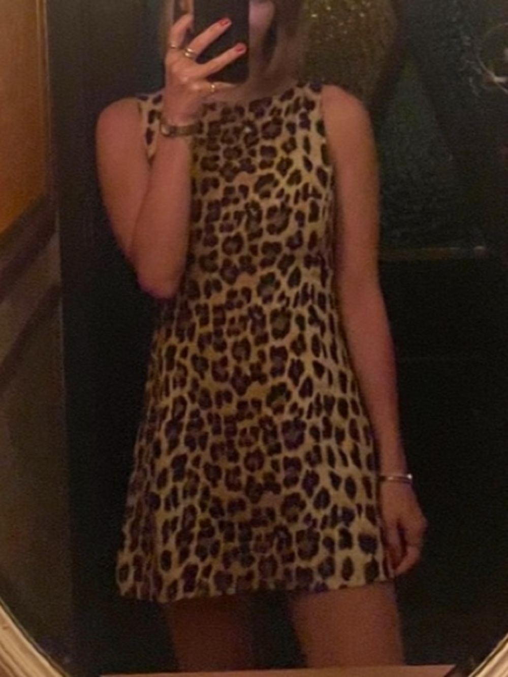 Zara Leopard Print Mini Dress - Tan and Black